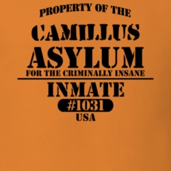 Camillus Onondaga County New York State Prison Insane Asylum T Shirt 5361385