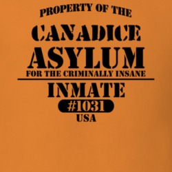 Canadice Ontario County New York State Prison Insane Asylum T Shirt 5361388
