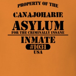Canajoharie Montgomery County New York State Prison Insane Asylum T Shirt 5361389