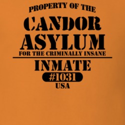 Candor Tioga County New York State Prison Insane Asylum T Shirt 5361393