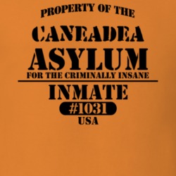 Caneadea Allegany County New York State Prison Insane Asylum T Shirt 5361394