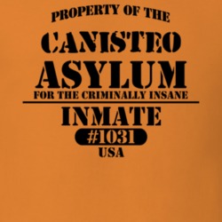 Canisteo Steuben County New York State Prison Insane Asylum T Shirt 5361395