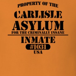 Carlisle Schoharie County New York State Prison Insane Asylum T Shirt 5361399