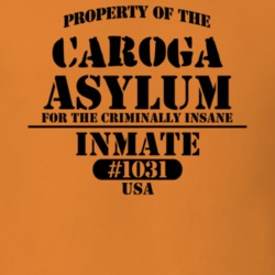Caroga Fulton County New York State Prison Insane Asylum T Shirt 5361402