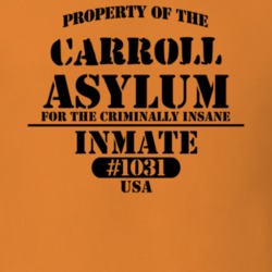 Carroll Chautauqua County New York State Prison Insane Asylum T Shirt 5361404