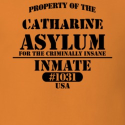 Catharine Schuyler County New York State Prison Insane Asylum T Shirt 5361411
