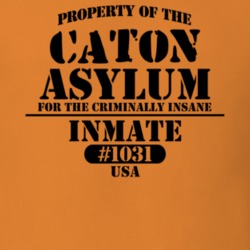 Caton Steuben County New York State Prison Insane Asylum T Shirt 5361414