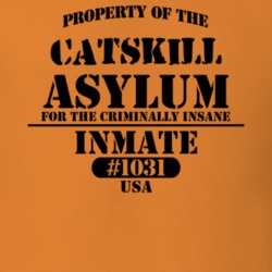 Catskill Greene County New York State Prison Insane Asylum T Shirt 5361415