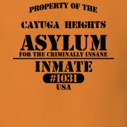 Cayuga Heights Tompkins County New York State Prison Insane Asylum T Shirt 5361418