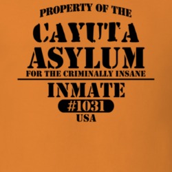 Cayuta Schuyler County New York State Prison Insane Asylum T Shirt 5361419