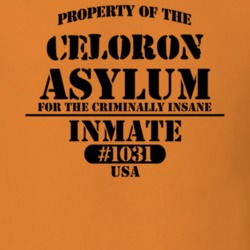 Celoron Chautauqua County New York State Prison Insane Asylum T Shirt 5361422