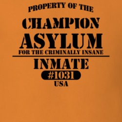 Champion Jefferson County New York State Prison Insane Asylum T Shirt 5361426