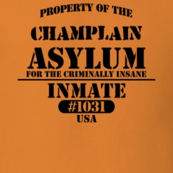 Champlain Clinton County New York State Prison Insane Asylum T Shirt 5361427