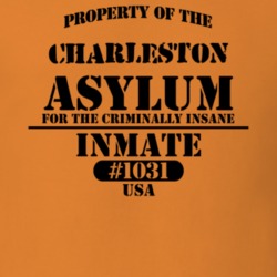 Charleston Montgomery County New York State Prison Insane Asylum T Shirt 5361428
