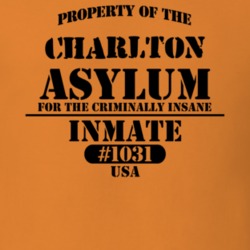 Charlton Saratoga County New York State Prison Insane Asylum T Shirt 5361430
