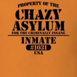 Chazy Clinton County New York State Prison Insane Asylum T Shirt 5361435
