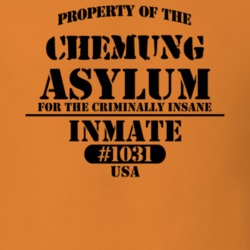 Chemung Chemung County New York State Prison Insane Asylum T Shirt 5361437