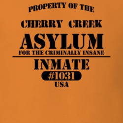Cherry Creek Chautauqua County New York State Prison Insane Asylum T Shirt 5361439