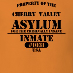 Cherry Valley Otsego County New York State Prison Insane Asylum T Shirt 5361440