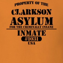 Clarkson Monroe County New York State Prison Insane Asylum T Shirt 5361453