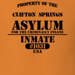 Clifton Springs Ontario County New York State Prison Insane Asylum T Shirt 5361464