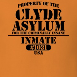 Clyde Wayne County New York State Prison Insane Asylum T Shirt 5361468