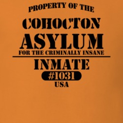 Cohocton Steuben County New York State Prison Insane Asylum T Shirt 5361473
