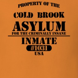 Cold Brook Herkimer County New York State Prison Insane Asylum T Shirt 5361476