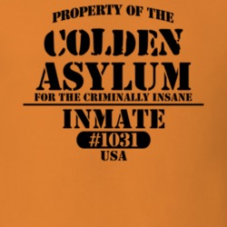 Colden Erie County New York State Prison Insane Asylum T Shirt 5361479