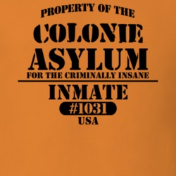 Colonie Albany County New York State Prison Insane Asylum T Shirt 5361482