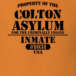 Colton St Lawrence County New York State Prison Insane Asylum T Shirt 5361483