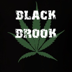 Black Brook Clinton County New York State Weed Marijuana T Shirt 5369771