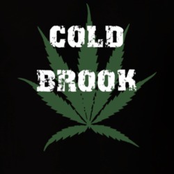 Cold Brook Herkimer County New York State Weed Marijuana T Shirt 5369773