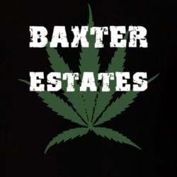 Baxter Estates Nassau County New York State Weed Marijuana T Shirt 5369859