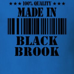 Black Brook Clinton County New York State Made In Born T Shirt 5369939