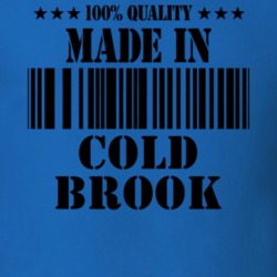 Cold Brook Herkimer County New York State Made In Born T Shirt 5369943