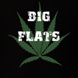 Big Flats Chemung County New York State Weed Marijuana T Shirt 5369944