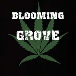 Blooming Grove Orange County New York State Weed Marijuana T Shirt 5369979