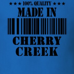 Cherry Creek Chautauqua County New York State Made In Born T Shirt 5370016