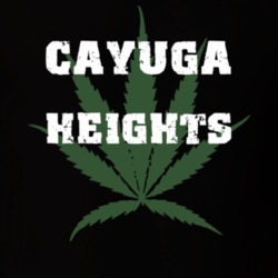 Cayuga Heights Tompkins County New York State Weed Marijuana T Shirt 5370047