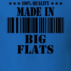 Big Flats Chemung County New York State Made In Born T Shirt 5370149