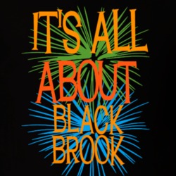 Black Brook Clinton County New York State Its All About T Shirt 5370195