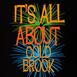 Cold Brook Herkimer County New York State Its All About T Shirt 5370201