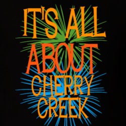 Cherry Creek Chautauqua County New York State Its All About T Shirt 5370285