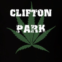 Clifton Park Saratoga County New York State Weed Marijuana T Shirt 5370307