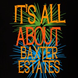 Baxter Estates Nassau County New York State Its All About T Shirt 5370338
