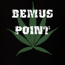 Bemus Point Chautauqua County New York State Weed Marijuana T Shirt 5370389