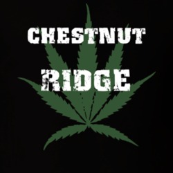 Chestnut Ridge Rockland County New York State Weed Marijuana T Shirt 5370435