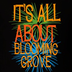 Blooming Grove Orange County New York State Its All About T Shirt 5370484