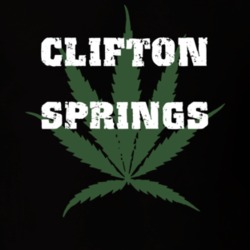 Clifton Springs Ontario County New York State Weed Marijuana T Shirt 5370501